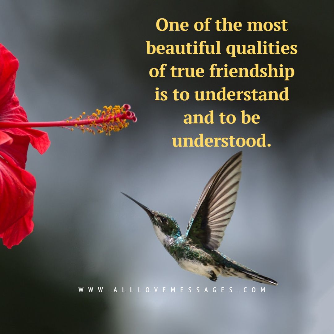 Strong Friendship Bond Quotes All Love Messages